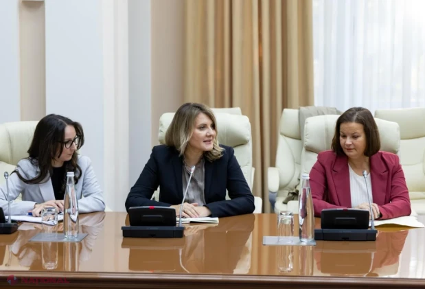 Premierul Vasile Tofan a discutat cu experți internaționali despre accelerarea aderării la UE și dezvoltarea economică a Republicii Moldova