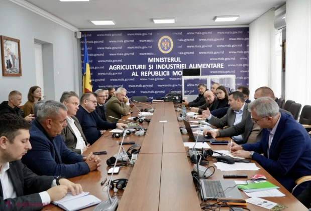 Cultivatorii de soia și leguminoase vor primi 3.000 de lei pe hectar din 2027