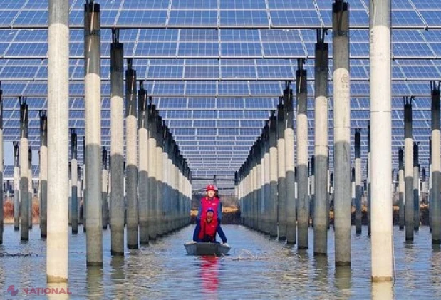 Cum a depășit energia solară energia nucleară și a devenit „ofensiv de ieftină”