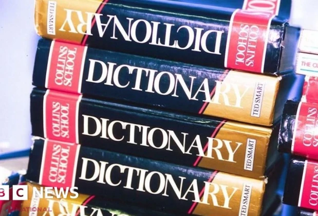 „Maxxing”, ales cuvântul anului 2026 de Dictionary.com