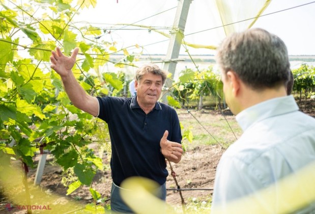 FOTO // Cum să construiești o afacere de succes în AGRICULTURĂ, fără a miza doar pe subvenții din partea statului. O familie din Cahul administrează 2 000 de hectare și practic în fiecare an au o recoltă de TREI ori mai mare decât alți agricultori