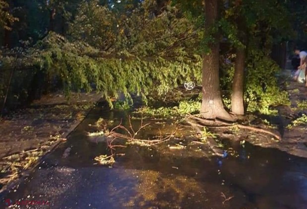 GALERIE FOTO // PLOAIE în Chișinău: Copaci scoşi din rădăcini și căzuți inclusiv pe mașini, străzi spălate de ape, acoperișuri luate de vânt sau cabluri doborâte la pământ