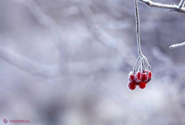 Înghețuri și vânt! Meteorologii au emis un nou COD GALBEN