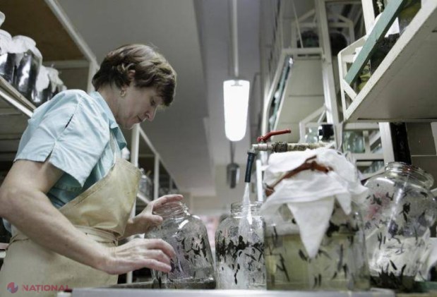 Ferma care a uimit o lume întreagă și l-a vindecat pe Stalin