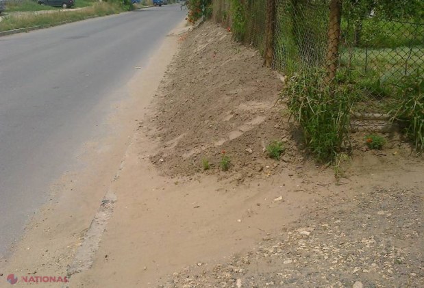 Poza zilei // Se întâmplă în Chișinău. Și-a făcut grădină pe TROTUAR