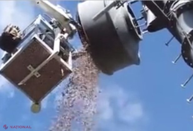 VIDEO // Localnicii unui sat au rămas fără semnal la telefoanele mobile, aşa că au chemat o echipă de intervenţie. Când au deschis antena, tehnicienii au avut parte de SURPRIZA vieţii