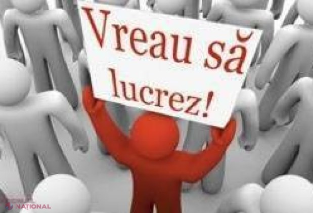 Încă un târg al locurilor de muncă!