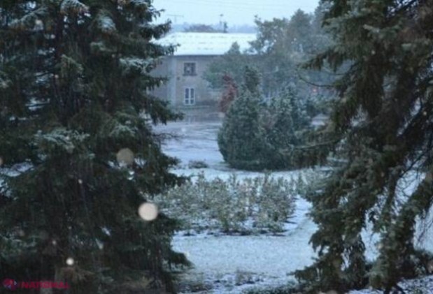 GALERIE FOTO // A venit IARNA la nordul R. Moldova: Cum arată acum localitățile din Briceni, Edineț, Dondușeni și Ocnița