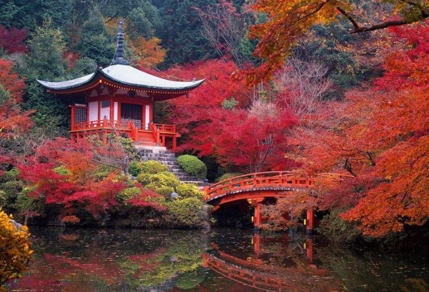 Activități dedicate culturii JAPONEZE la un festival autumnal în Chișinău