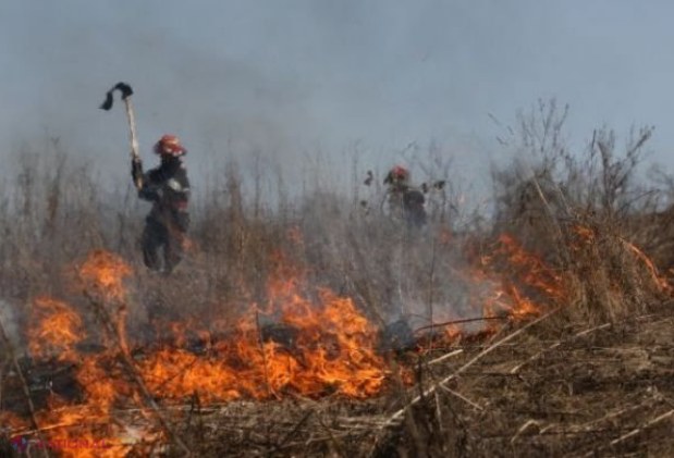 Nu-i sperie nici AMENZILE mari: 39 de INCENDII care au pârjolit într-o singură zi 120 de hectare de vegetație în R. Moldova