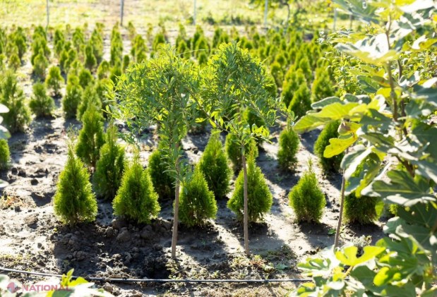 FOTO // Au inițiat o afacere de la ZERO acum 20 de ani, pe pământul din propria grădină, iar acum asigură toată R. Moldova cu ceea ce produc: „Satele noastre se pot dezvolta datorită unor asemenea oameni, care deschid afaceri, reinvestesc”