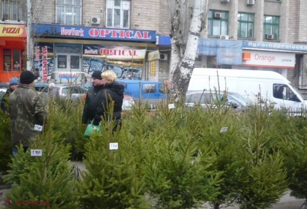 FOTO // Ce este LA MARE CĂUTARE în capitală în această perioadă
