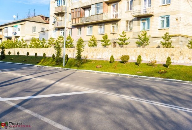 FOTO // Municipiul Orheiul a „ÎNFLORIT”. Mii de flori plantate au colorat orașul