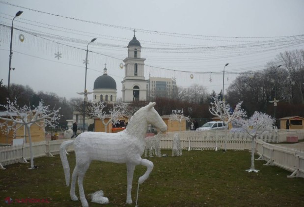 FOTO // Ce este LA MARE CĂUTARE în capitală în această perioadă