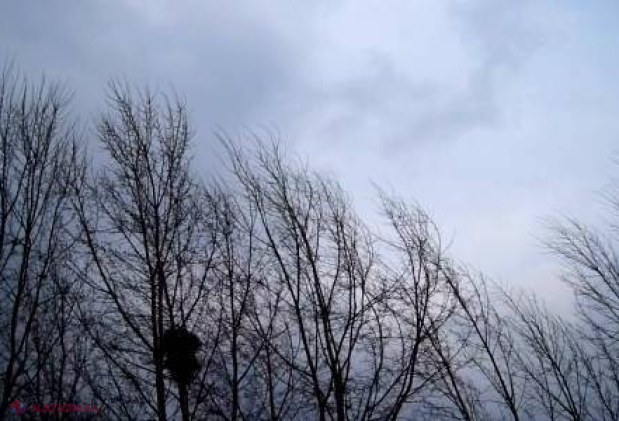 AVERTIZARE meteorologică! Vânt puternic în R. Moldova