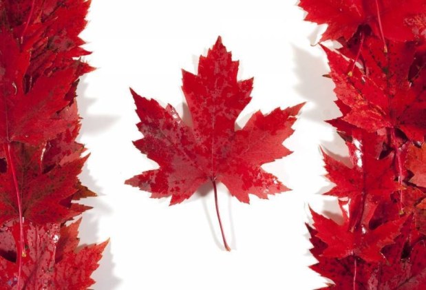Ce OPORTUNITĂȚI au moldovenii care vor să emigreze în Canada. Trebuie să vă grăbiți!