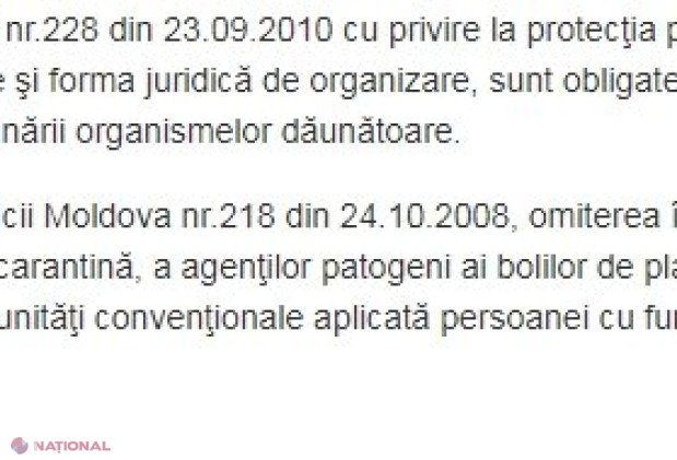 ATENȚIONARE // Buruiana care afectează sănătatea a sute de mii de cetățeni a împânzit R. Moldova și nimeni nu întreprinde nimic pentru a o stârpi: Ce AMENZI riscați