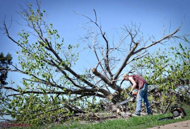Omenirea a CONSUMAT deja mai multe resurse naturale decât planeta poate asigura pentru întreg anul 2017