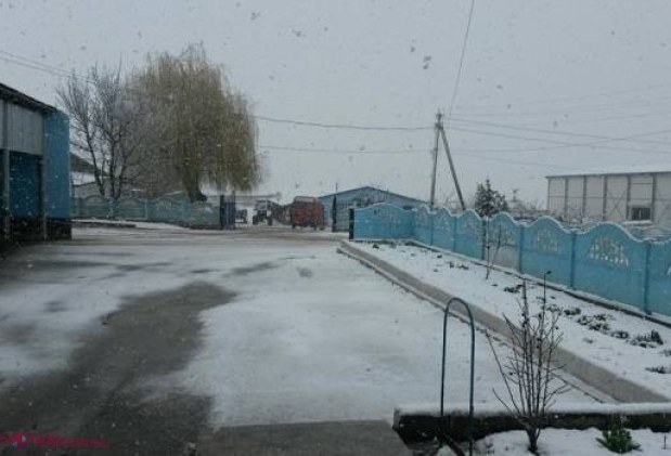 METEO // NINSORI pe tot parcursul săptămânii la Nord. În ce zile va ninge în centrul și sudul R. Moldova