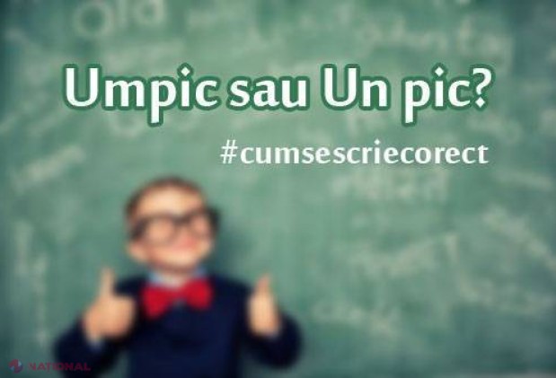 INEDIT // Primăria Chișinău pornește „VÂNĂTOAREA” de GREȘELI gramticale din oraș