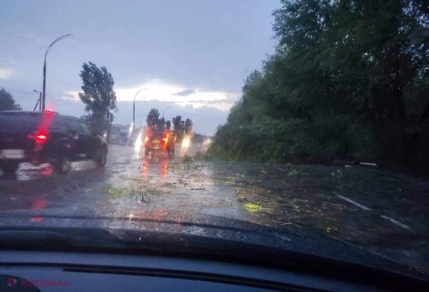 GALERIE FOTO // PLOAIE în Chișinău: Copaci scoşi din rădăcini și căzuți inclusiv pe mașini, străzi spălate de ape, acoperișuri luate de vânt sau cabluri doborâte la pământ