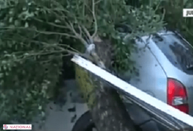 Furtuna a făcut RAVAGII pe litoralul românesc