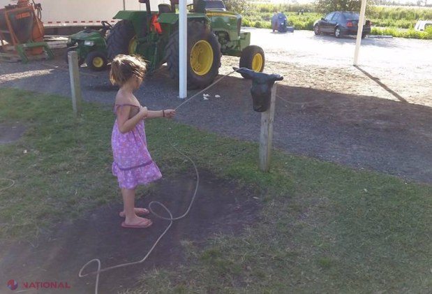 Galerie FOTO, VIDEO // Inspirație pentru moldoveni: Modul INEDIT în care fac agricultură AMERICANII