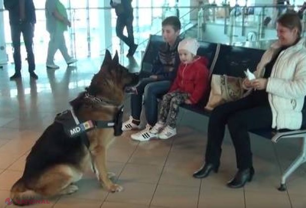 VIDEO // Câine vorbăreț la Aeroportul Internațional Chișinău. Ce le spune acesta călătorilor