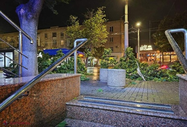 GALERIE FOTO // Furtuna de noaptea trecută a făcut ravagii în Chișinău - mai mulți copaci au fost rupți sau SMULȘI din rădăcină, mașini avariate, garduri doborâte și fire electrice căzute la pământ
