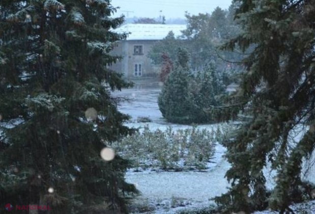 FOTO // NINSOARE în nordul R. Moldova: Ce prognozează meteorologii pentru următoarele zile