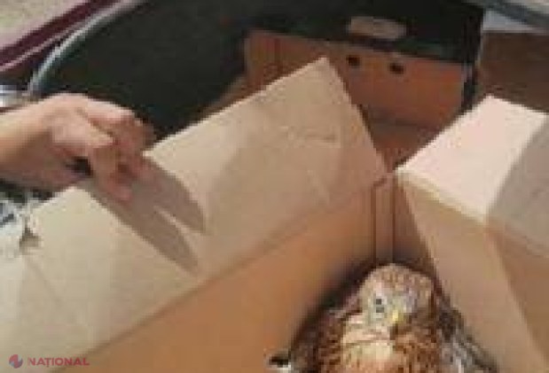 „Vând pui de VULTUR”: Anunțul unui tânăr din R. Moldova i-a adus necazuri. Cine i-a bătut la ușă