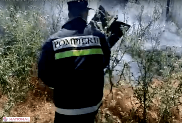 PERICOL // Grădinile a trei găspodari din R. Moldova, la un pas de a fi PÂRJOLITE