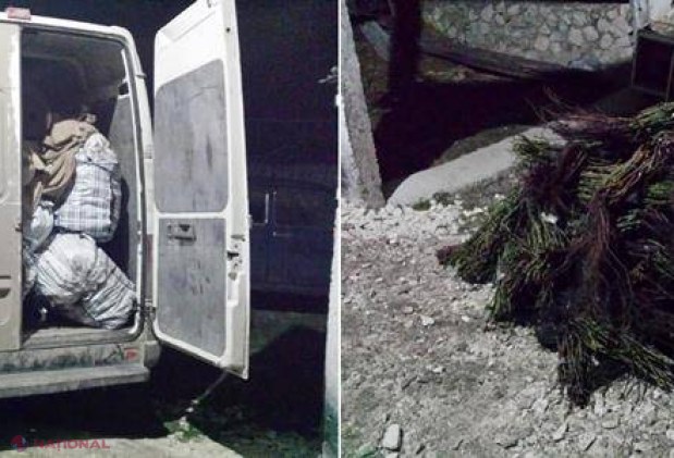Contrabandă  „ghimpoasă” la frontiera moldo-ucraineană 