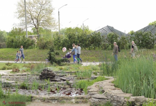 METEO // Iată cum va fi VREMEA de Paștile Blajinilor