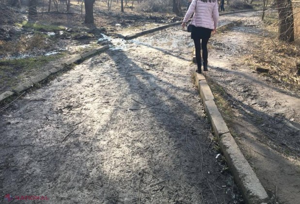 Silvia Radu e NEMULȚUMITĂ de activitatea pretorilor: „Ieșiți din birouri”. Primărița este îndemnată să DESFIINȚEZE preturile – „instituții fără folos”