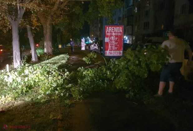 GALERIE FOTO // Furtuna de noaptea trecută a făcut ravagii în Chișinău - mai mulți copaci au fost rupți sau SMULȘI din rădăcină, mașini avariate, garduri doborâte și fire electrice căzute la pământ