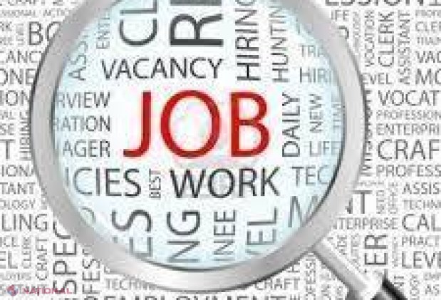 Lista celor 100 cele mai BINE plătite locuri de muncă vacante din R. Moldova: Cine oferă salarii de până la 50 de mii de lei pe lună