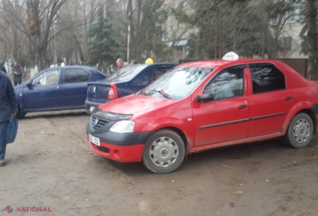 Șeful Inspecției Ecologice Leova, implicat într-un SCANDAL 