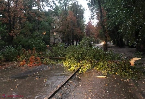 GALERIE FOTO // PLOAIE în Chișinău: Copaci scoşi din rădăcini și căzuți inclusiv pe mașini, străzi spălate de ape, acoperișuri luate de vânt sau cabluri doborâte la pământ
