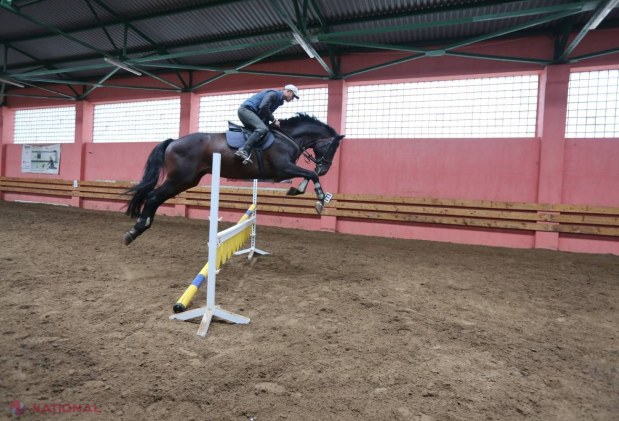 Oază de aristocrație: Hipismul poate fi sport, distracție, dar și remediu
