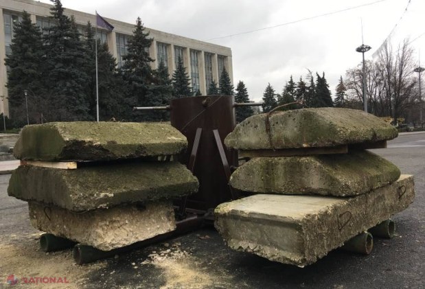 FOTO // Acesta este BRADUL care va fi înălțat în PMAN. Silvia Radu a bătut palma cu proprietarul