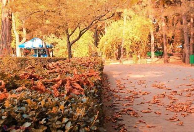 METEO // Ploi și temperaturi de plus zece grade Celsius ziua