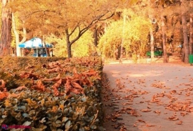 METEO // Vremea se RĂCEȘTE: Nopți cu temepraturi de plus două grade Celsius, săptămâna viitoare