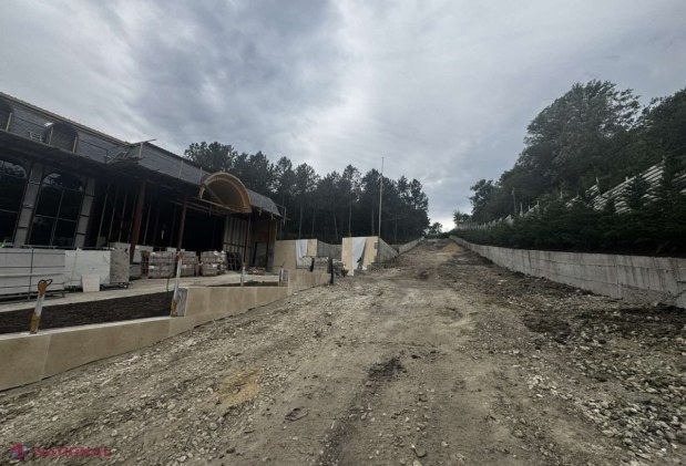 Percheziții la marginea Chișinăului. Peste 8.800 m² de pădure din trupul forestier „Doina”, distruși prin construcții de LUX ilegale. Prejudiciul depășește 4 milioane de lei