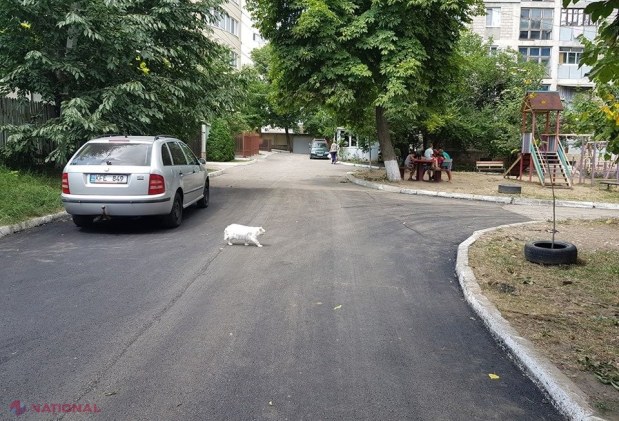 FOTO // Primăria Chișinău a așternut ASFALT pe strada unde e localizată casa președintelui Dodon. Costul lucrărilor este de aproape un MILION de lei