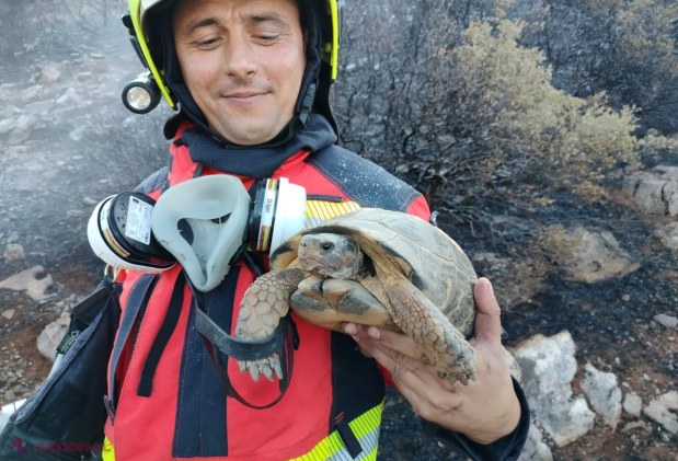 FOTO Intervenții ale pompierilor moldoveni plecați în Grecia. Aceștia au desfășurat o nouă misiune de lichidare a incendiilor de vegetație
