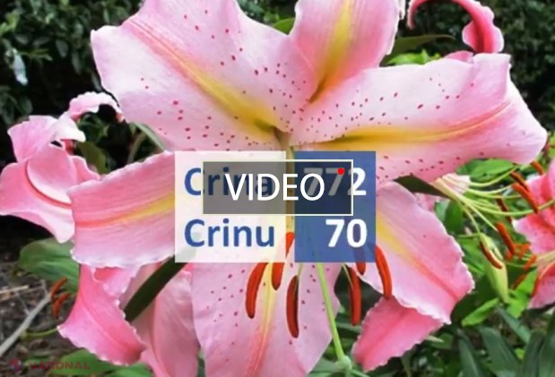 VIDEO CURIOS // Câte persoane din R. Moldova poartă nume de FLORI