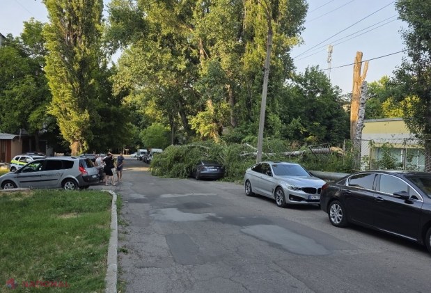 FOTO // Un copac a căzut peste un automobil Tesla în sectorul Buiucani al capitalei 