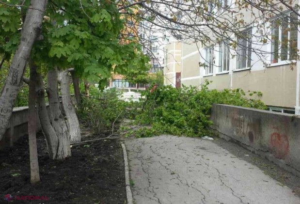 Vacanța elevilor s-a încheiat! Cum arată școlile din Chișinău după ninsoarea de săptămâna trecută