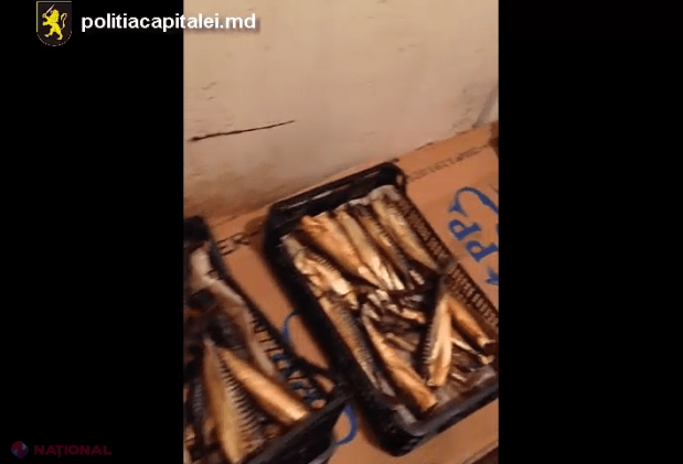 ATENȚIE la peștele pe care îl cumpărați din cele „mai renumite supermarketuri” din Chișinău: Păstrat în vase INTERZISE înainte de afumare